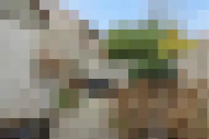 Mastdammenhoeve 22 Vught thumbnail 26