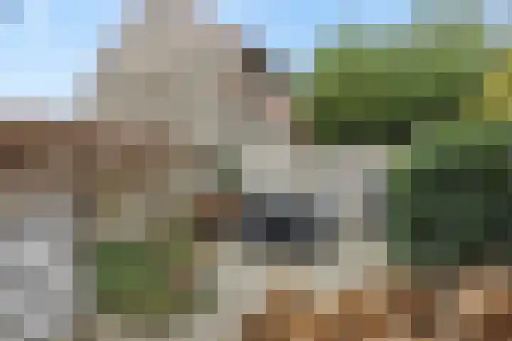 Mastdammenhoeve 22 Vught thumbnail 27