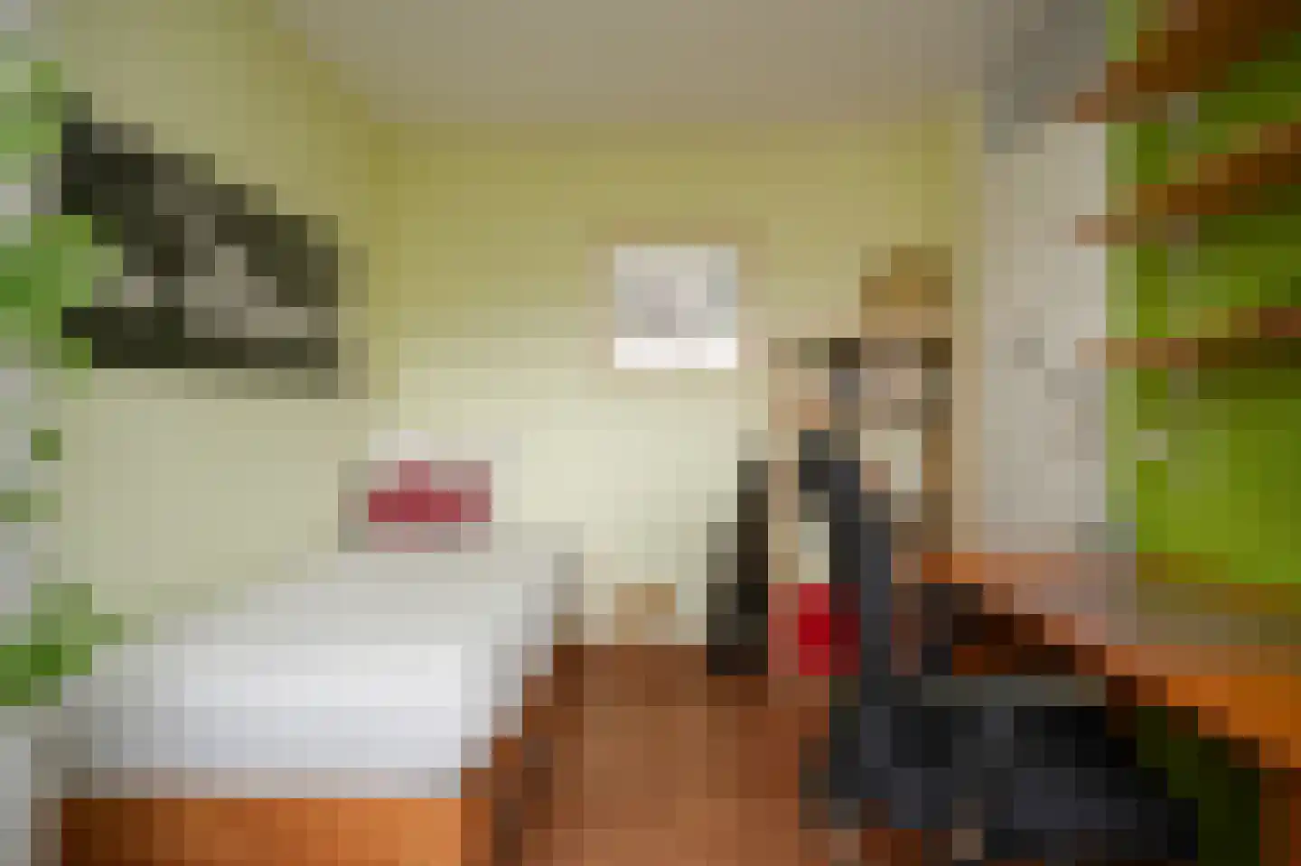 Mastdammenhoeve 3 Vught thumbnail 29