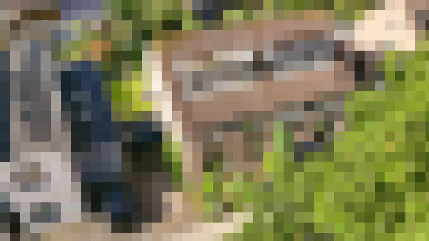 Mastdammenhoeve 3 Vught thumbnail 4