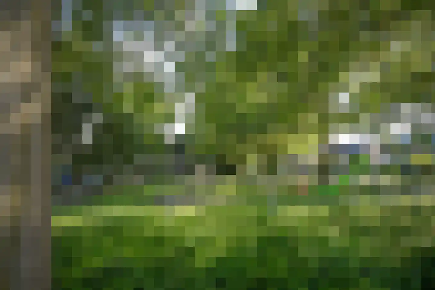 Mastdammenhoeve 3 Vught thumbnail 45
