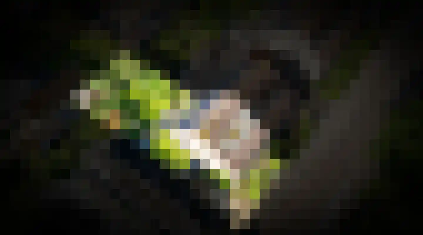 Mastdammenhoeve 3 Vught thumbnail 46