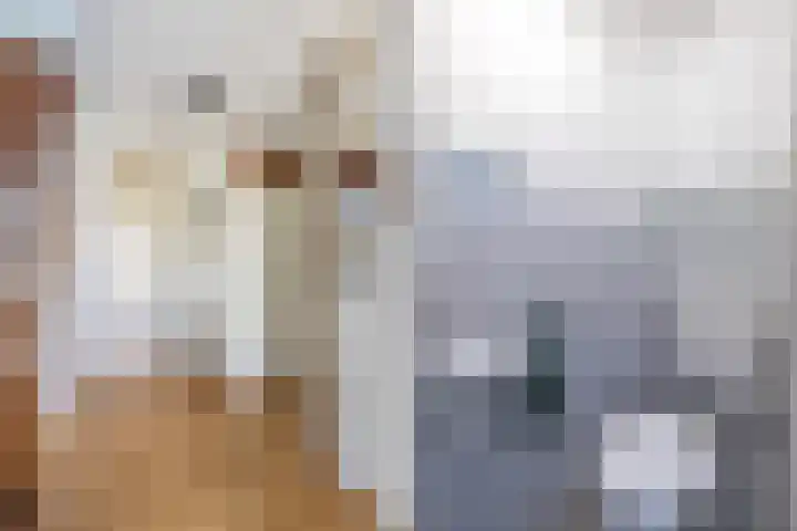 Mastenbroek 2 Emmeloord thumbnail 11