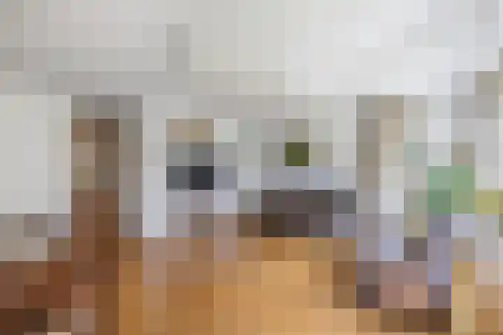 Mastenbroek 2 Emmeloord thumbnail 15