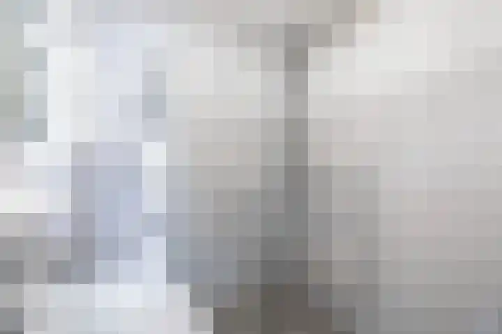 Mastenbroek 2 Emmeloord thumbnail 21