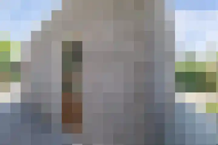 Mastenbroek 2 Emmeloord thumbnail 24