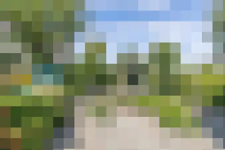 Mastenbroek 2 Emmeloord thumbnail 31