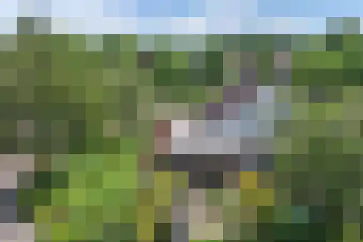 Mastenbroek 2 Emmeloord thumbnail 36