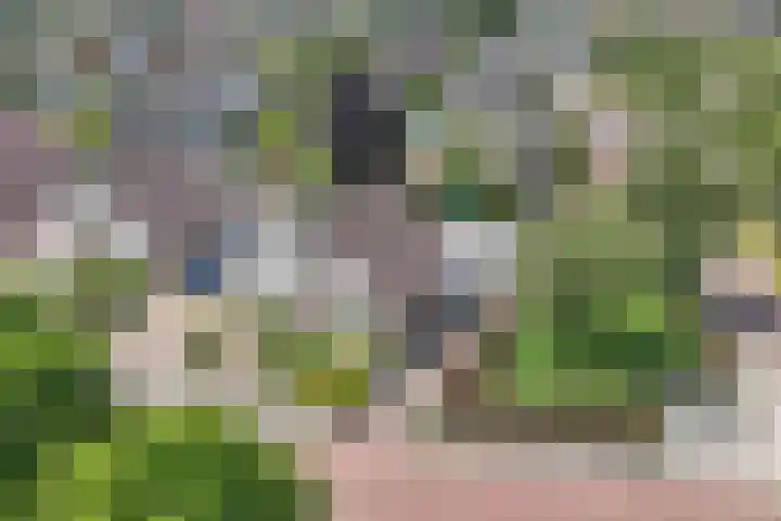 Mastenbroek 2 Emmeloord thumbnail 44