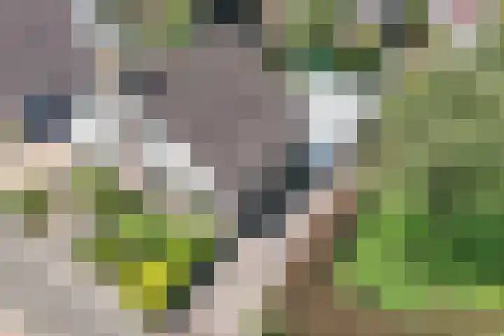 Mastenbroek 2 Emmeloord thumbnail 7