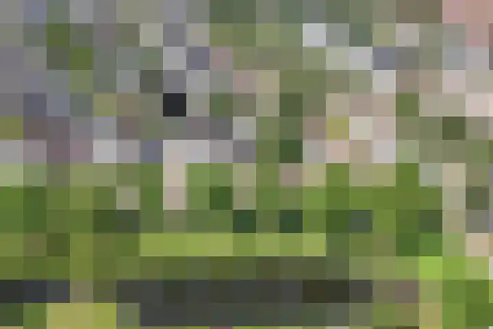 Mastenbroek 2 Emmeloord thumbnail 8