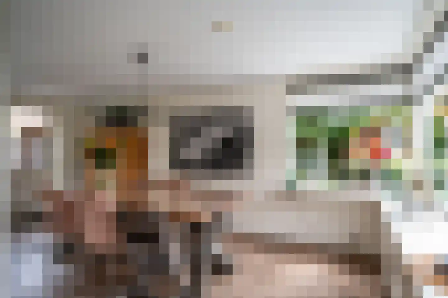Mastenbroek 23 Emmeloord thumbnail 14