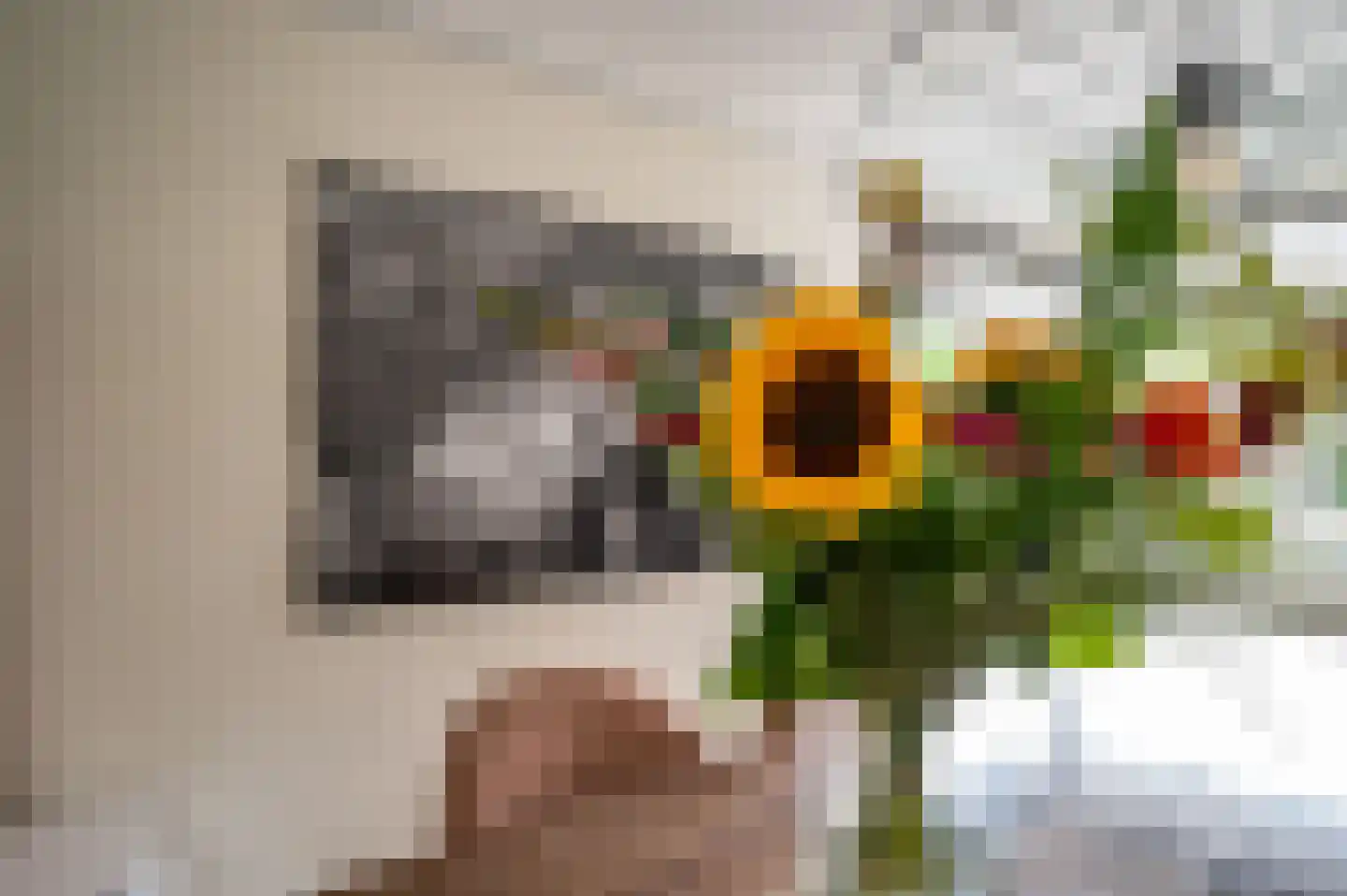 Mastenbroek 23 Emmeloord thumbnail 17