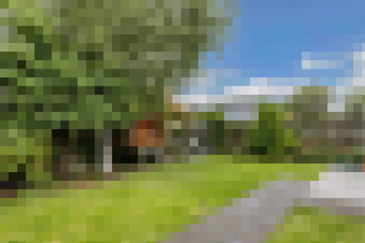 Mastenbroek 23 Emmeloord thumbnail 26