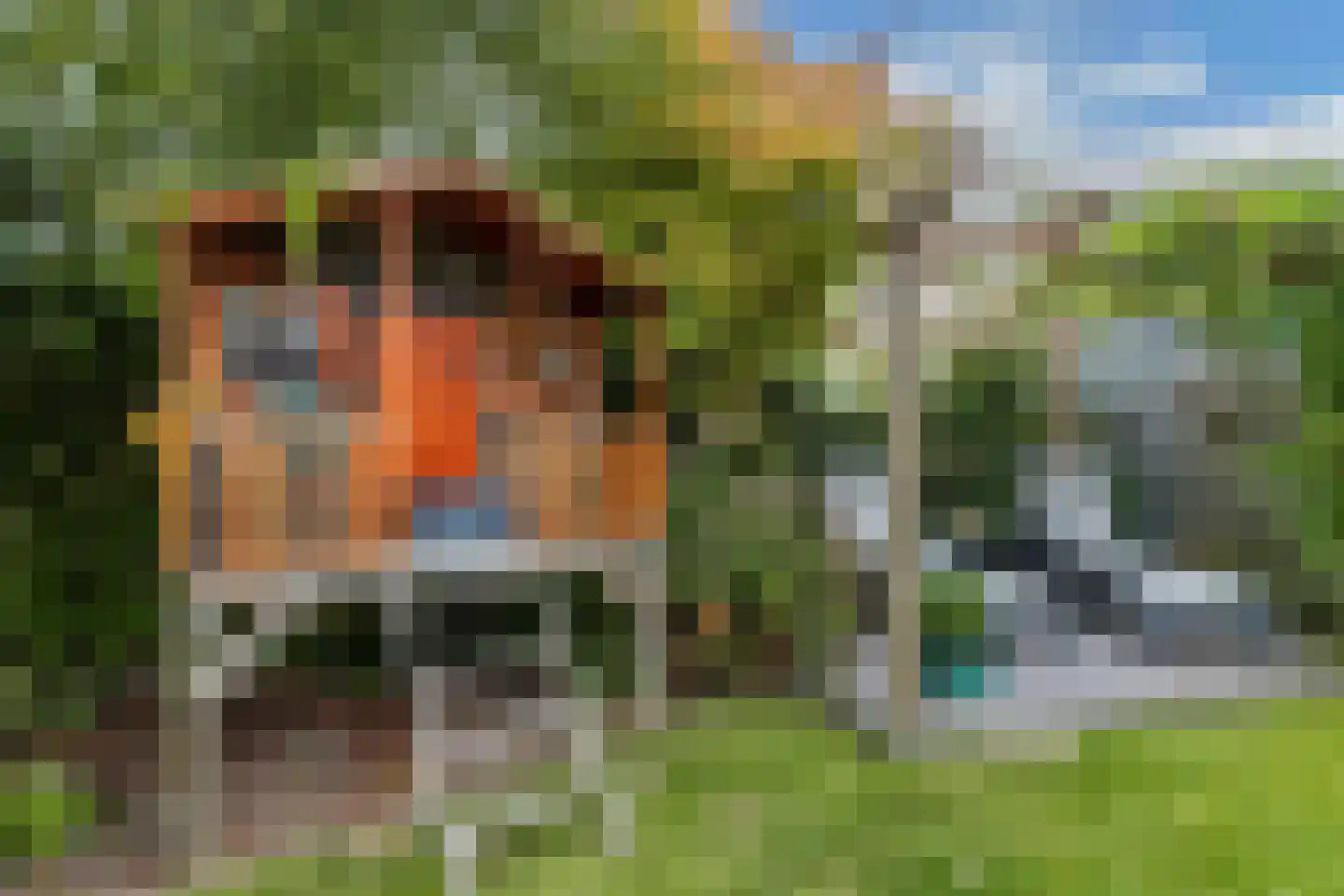 Mastenbroek 23 Emmeloord thumbnail 27