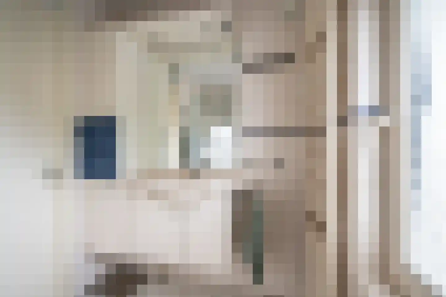 Mastenbroek 23 Emmeloord thumbnail 38