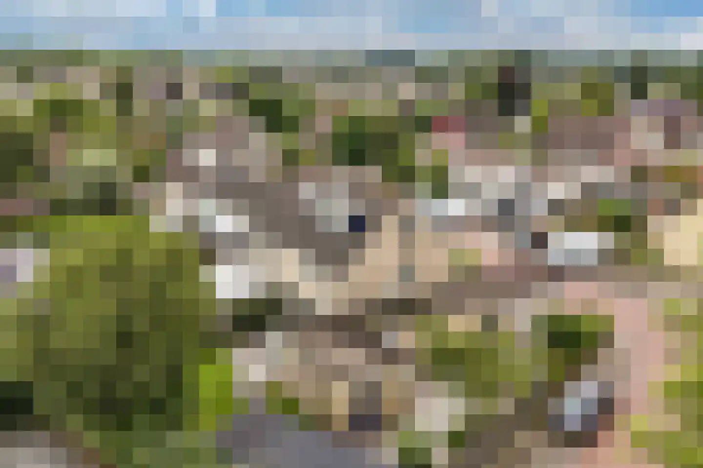 Mastenbroek 23 Emmeloord thumbnail 47