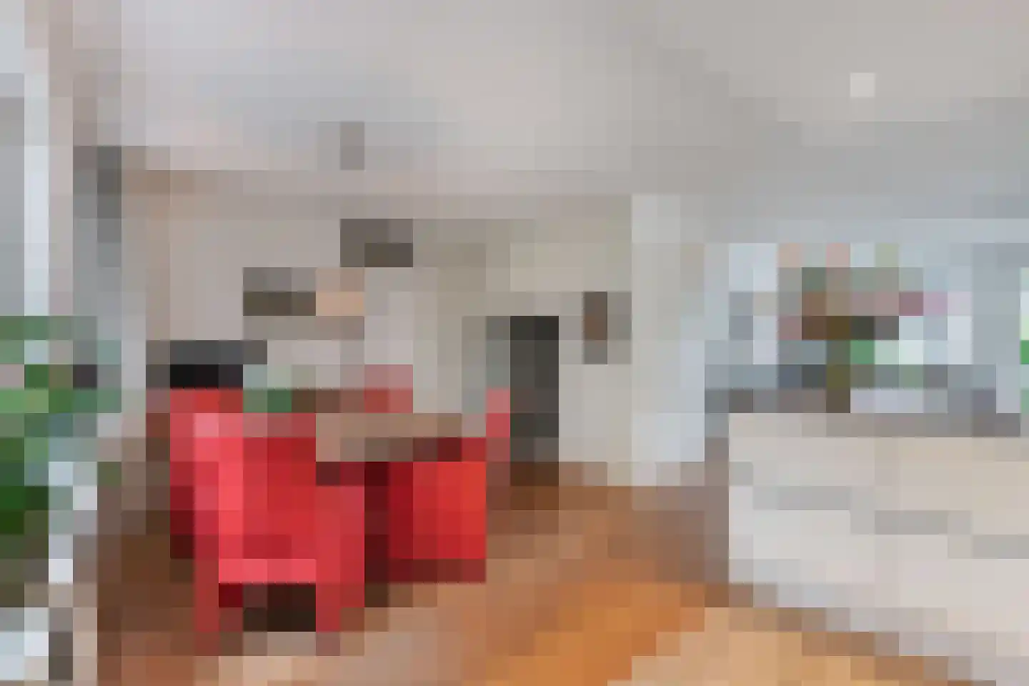 Mastenbroek 26 Emmeloord thumbnail 24