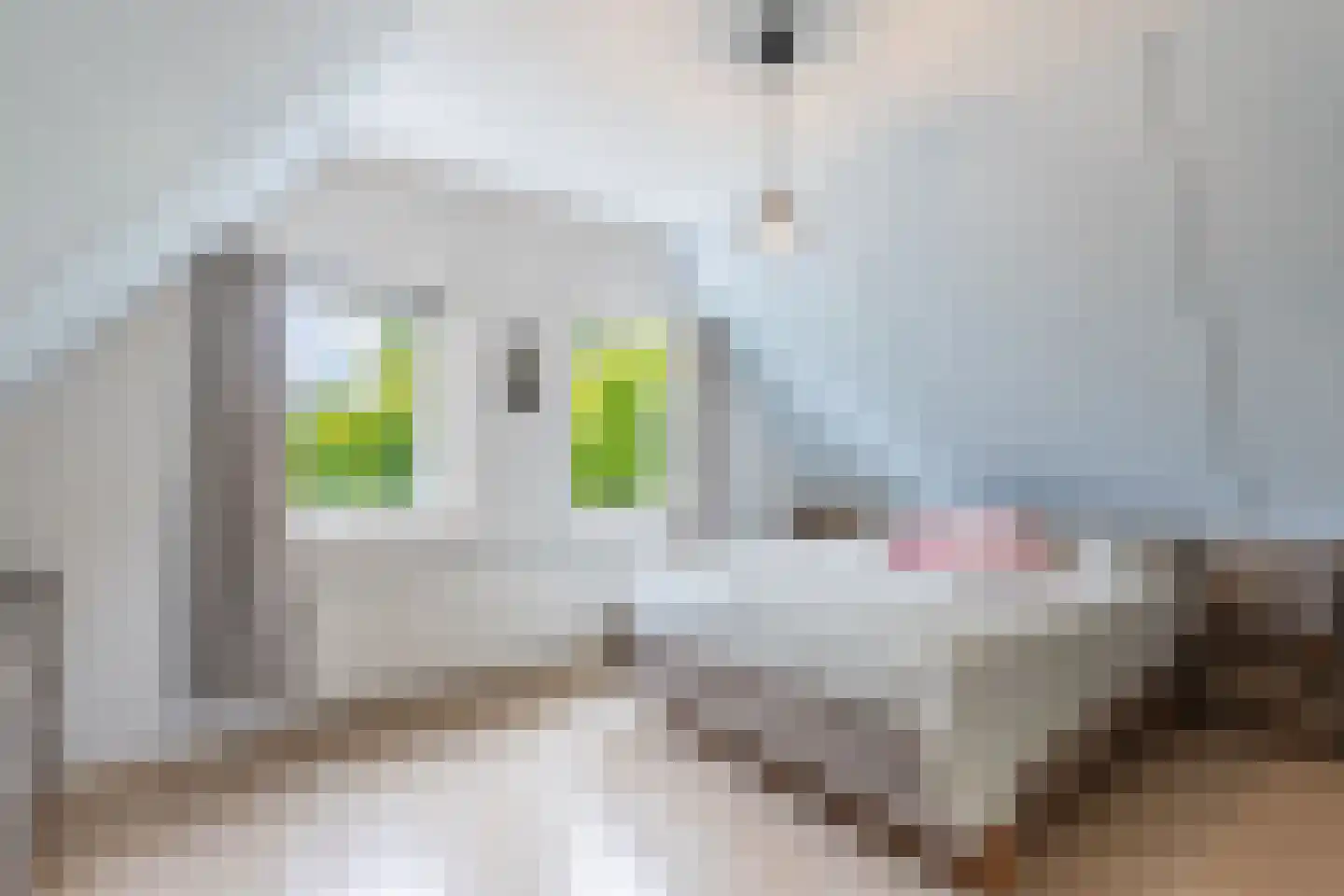 Mastenbroek 26 Emmeloord thumbnail 30