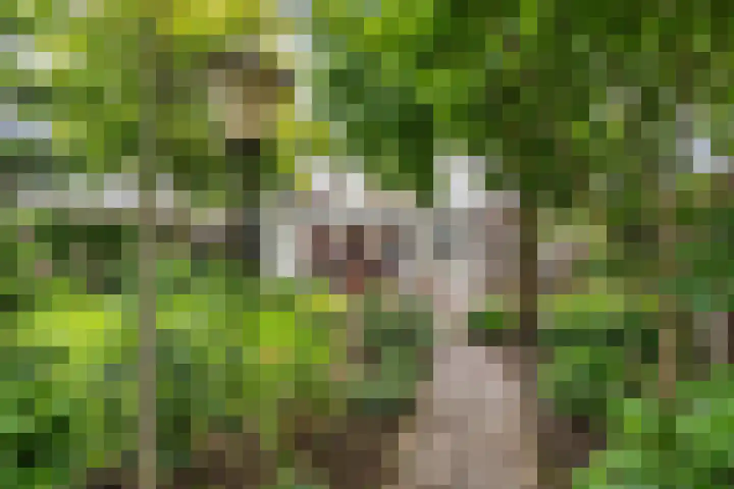 Mastenbroek 26 Emmeloord thumbnail 43