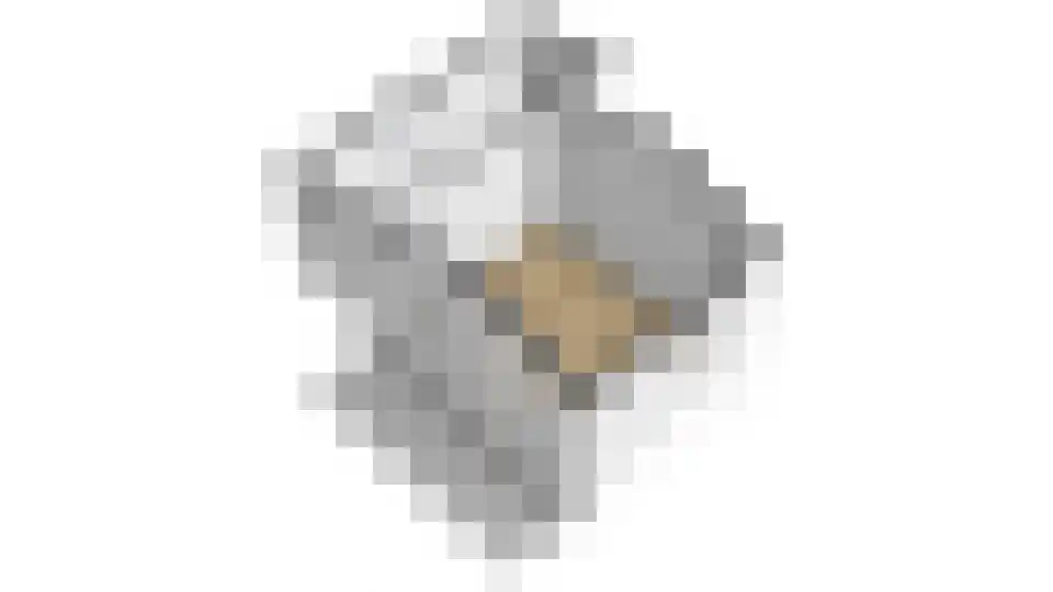 Mastenbroek 26 Emmeloord thumbnail 55
