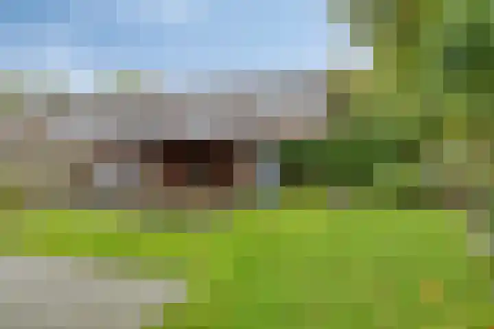 Mastenbroek 27 Oosterwolde thumbnail 33