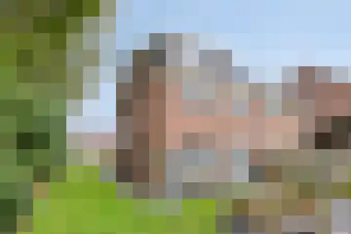 Mastenbroek 27 Oosterwolde thumbnail 35