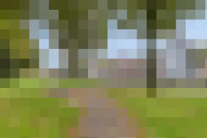 Mastenbroek 27 Oosterwolde thumbnail 36