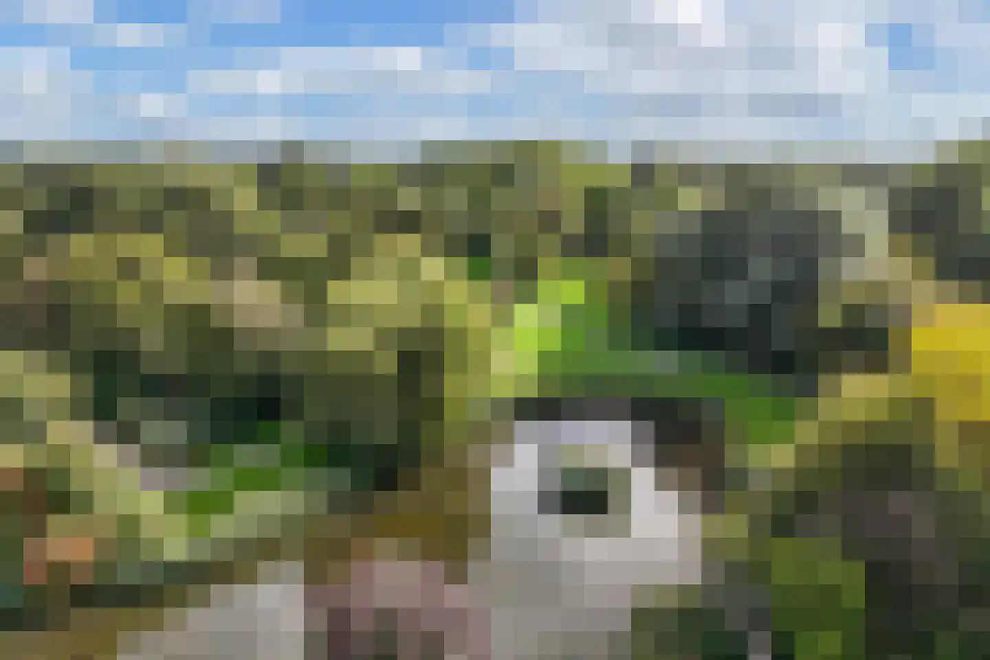 Mastenbroek 5 Emmeloord thumbnail 13