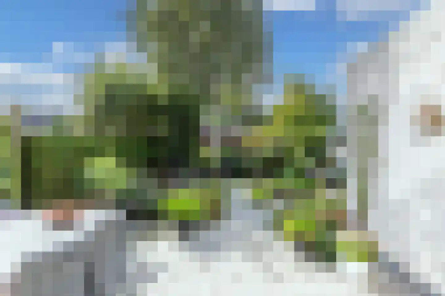 Mastenbroek 5 Emmeloord thumbnail 41