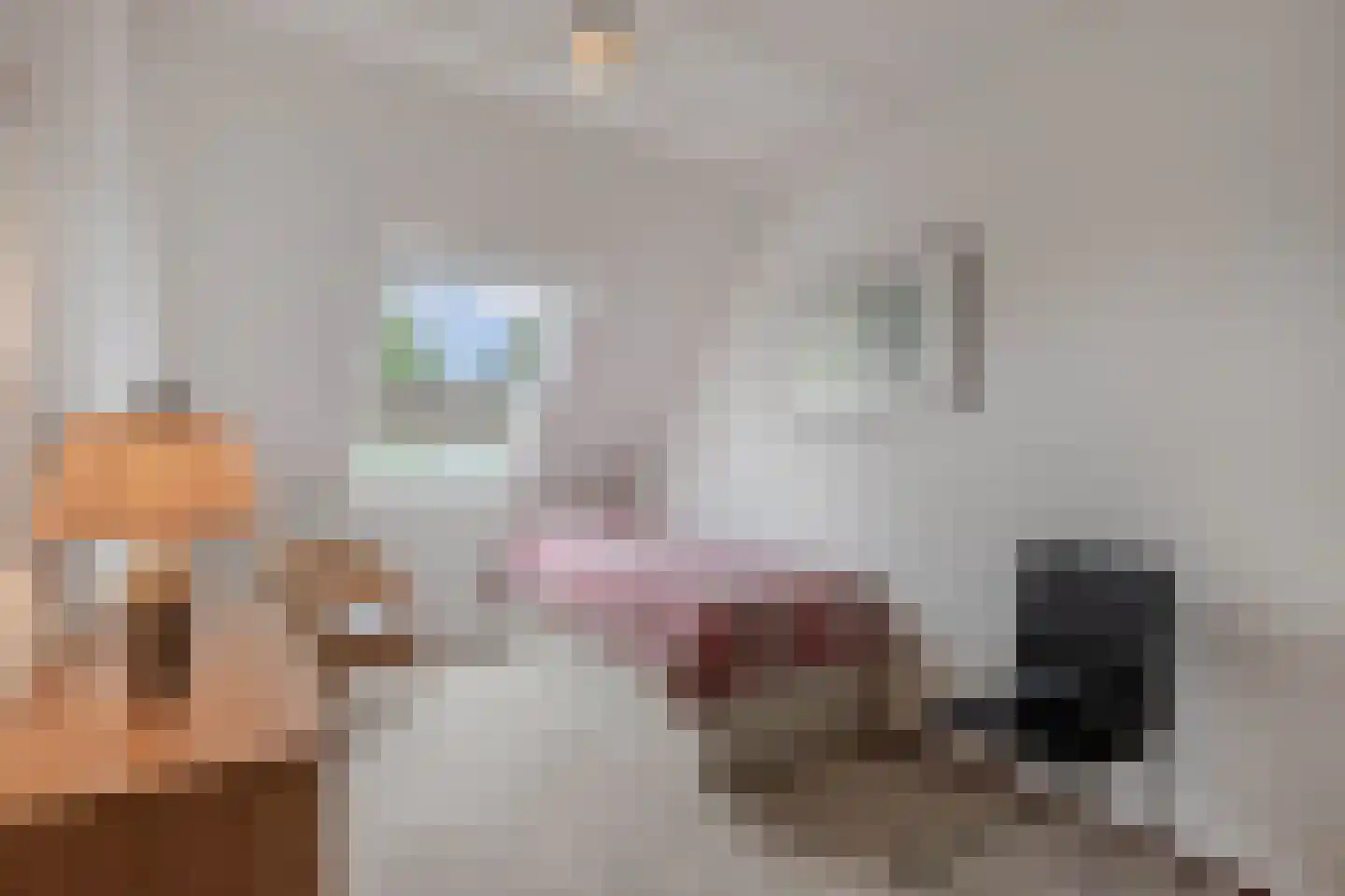 Mastenbroek 5 Emmeloord thumbnail 7