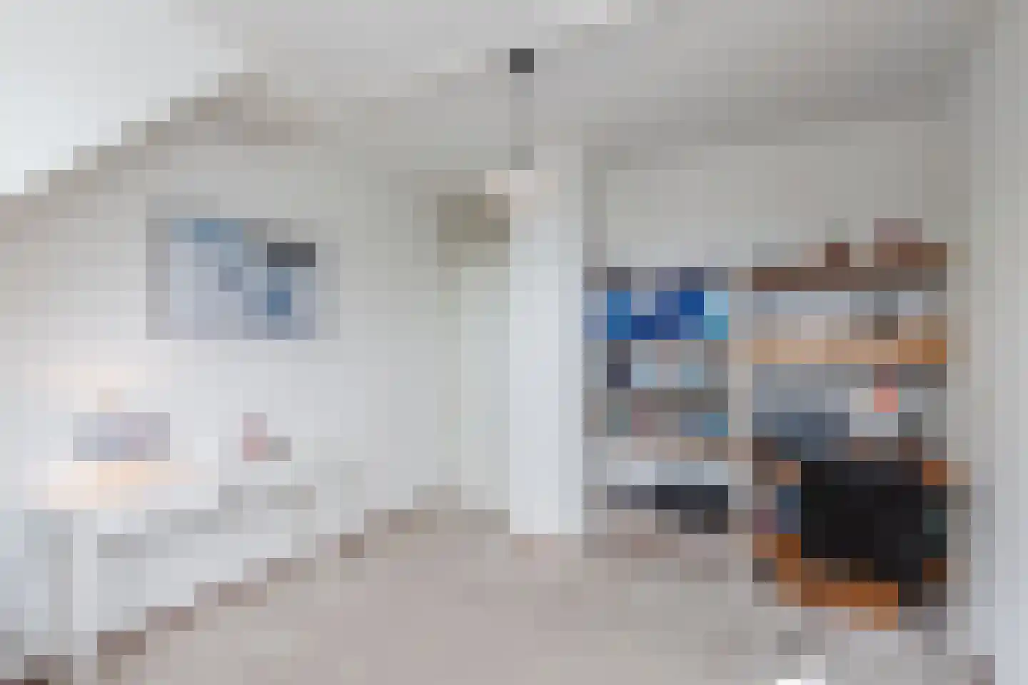 Mastenbroek 5 Emmeloord thumbnail 9