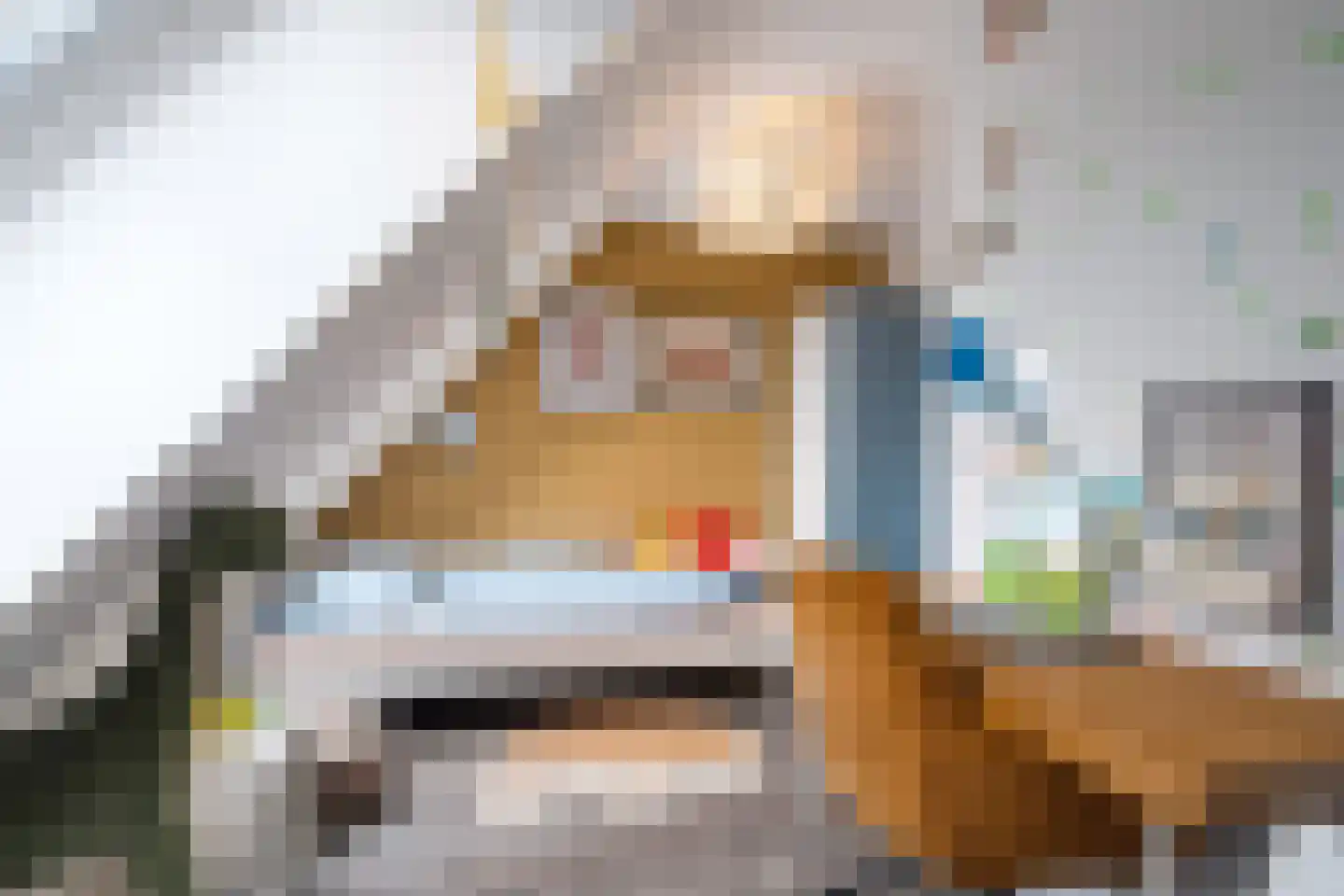 Mastenbroek 6 Scharnegoutum thumbnail 21