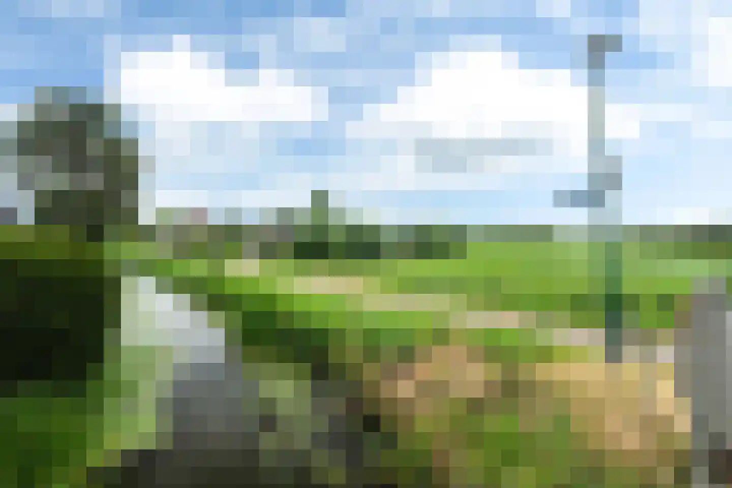 Mastenbroek 6 Scharnegoutum thumbnail 35