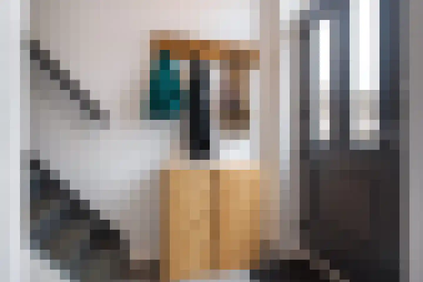 Mastenbroek 6 Scharnegoutum thumbnail 8