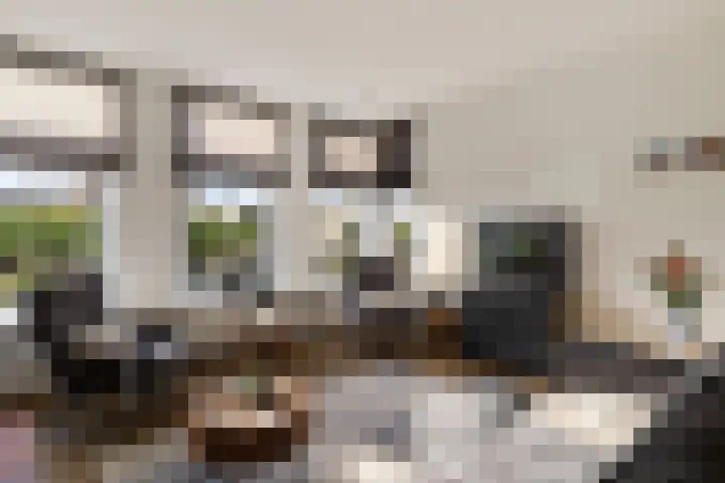 Mastenmakersstraat 11 Zwartsluis thumbnail 12