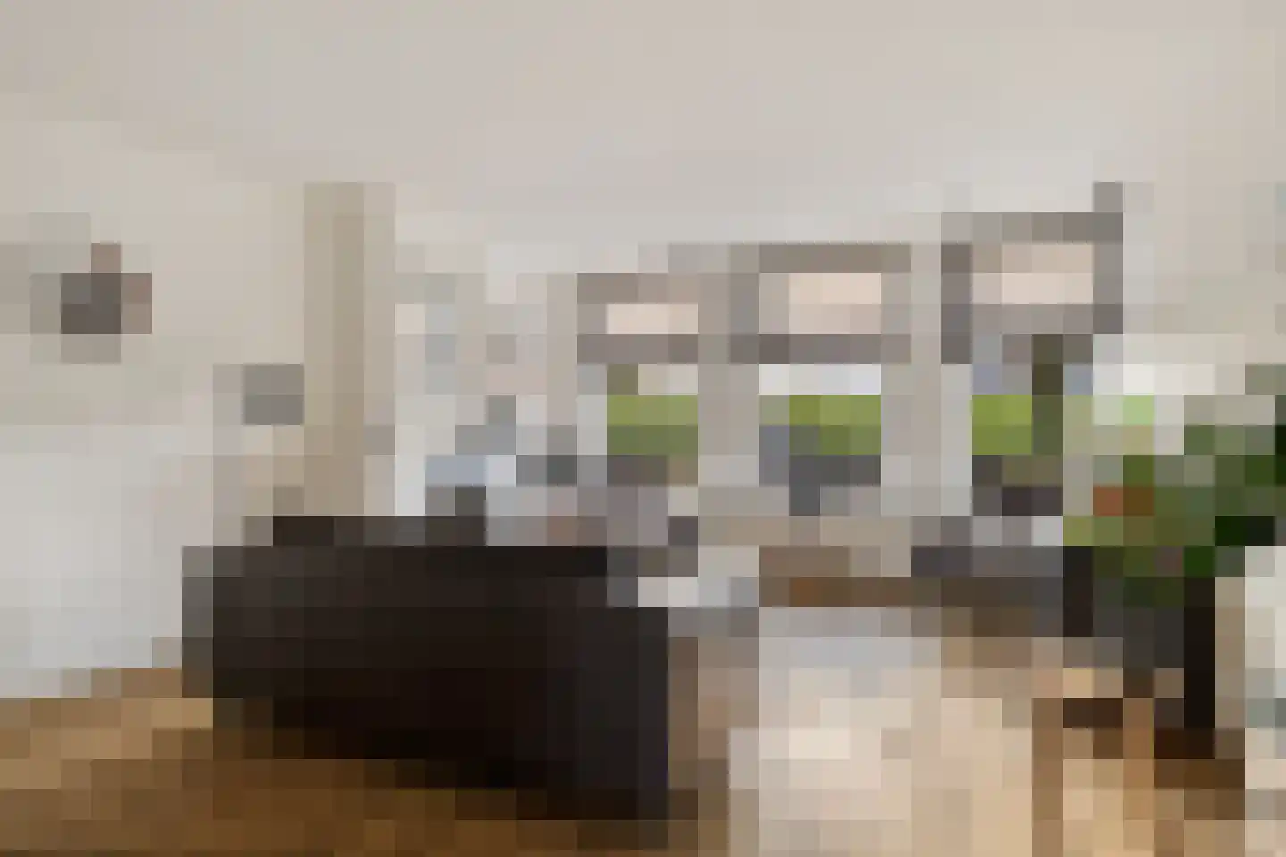 Mastenmakersstraat 11 Zwartsluis thumbnail 13