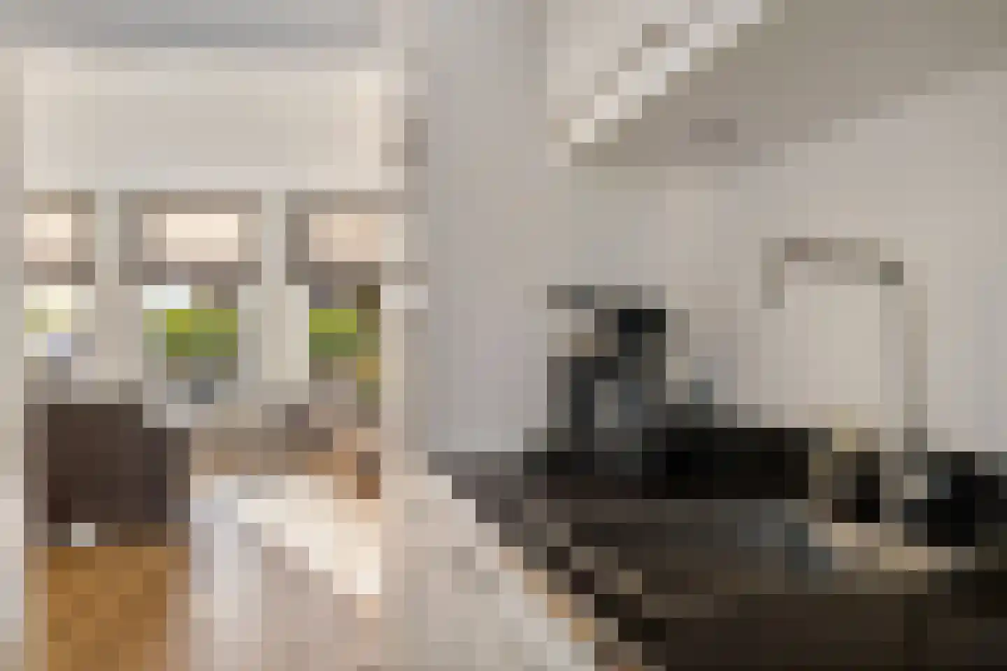 Mastenmakersstraat 11 Zwartsluis thumbnail 17