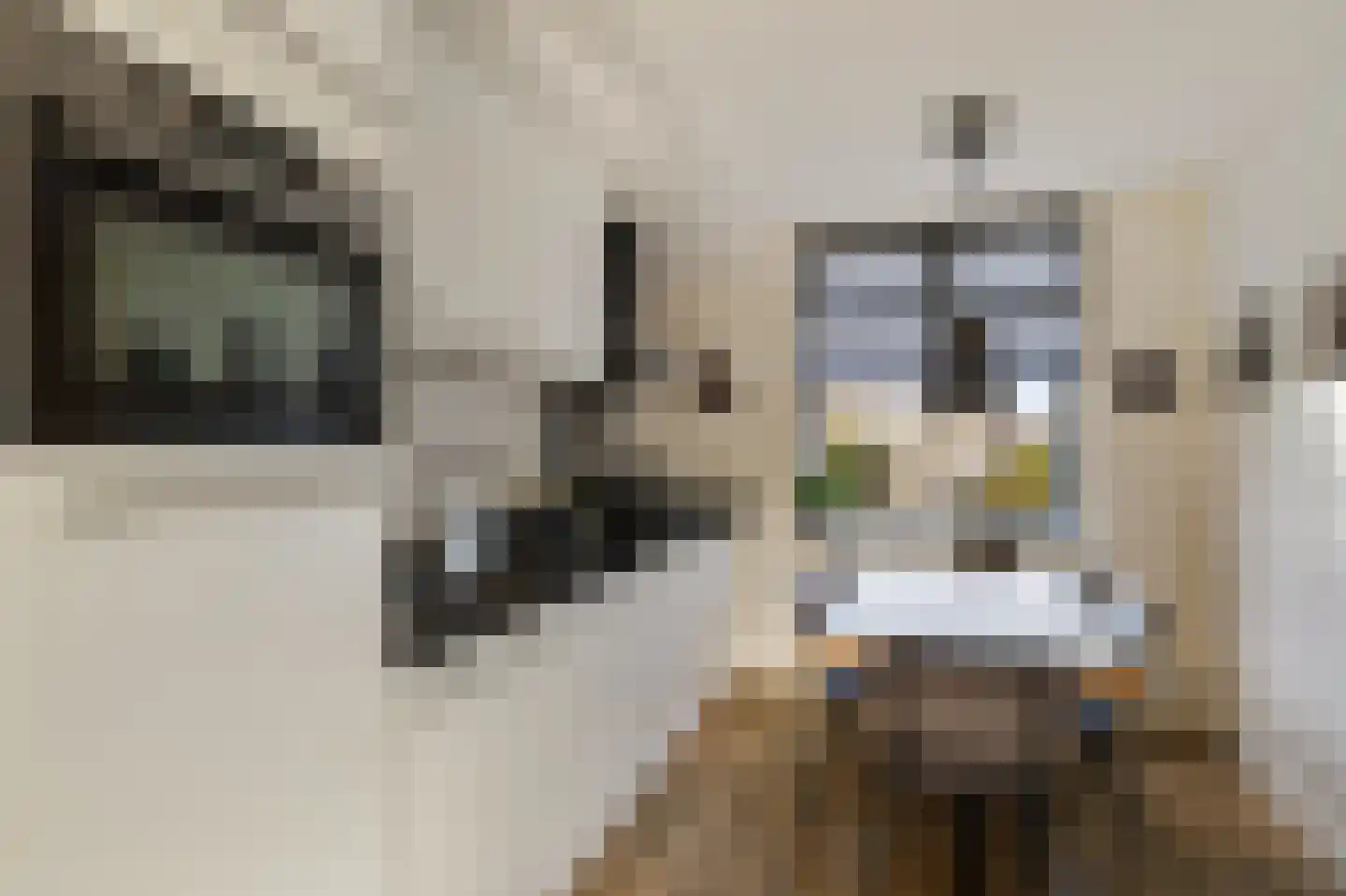Mastenmakersstraat 11 Zwartsluis thumbnail 18