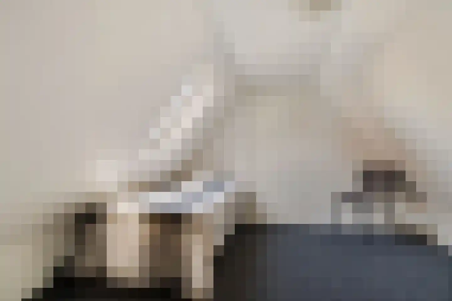 Mastenmakersstraat 11 Zwartsluis thumbnail 33