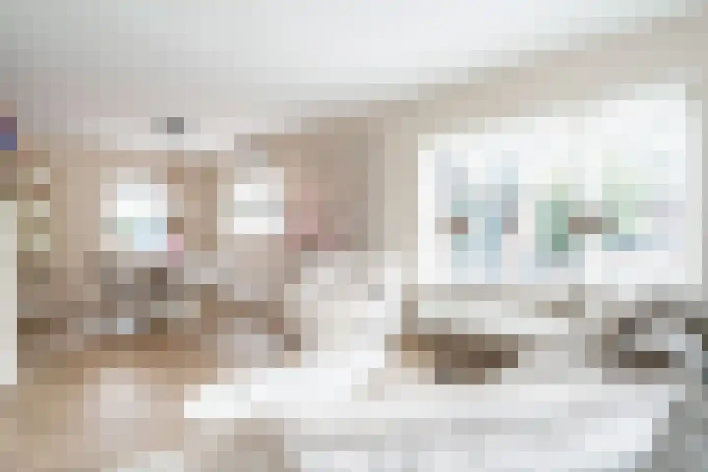 Mastenmakersstraat 25 Zwartsluis thumbnail 12