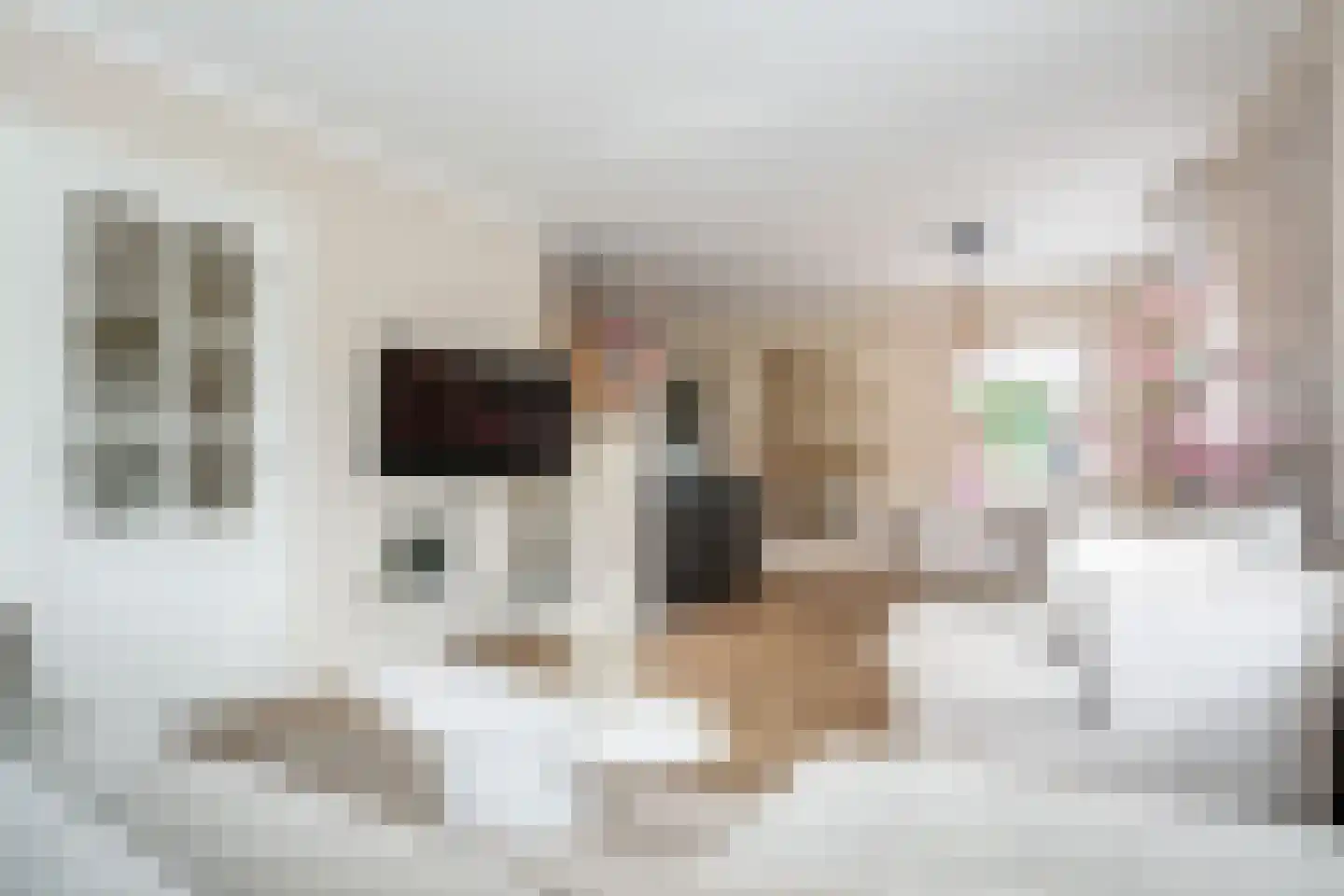 Mastenmakersstraat 25 Zwartsluis thumbnail 13