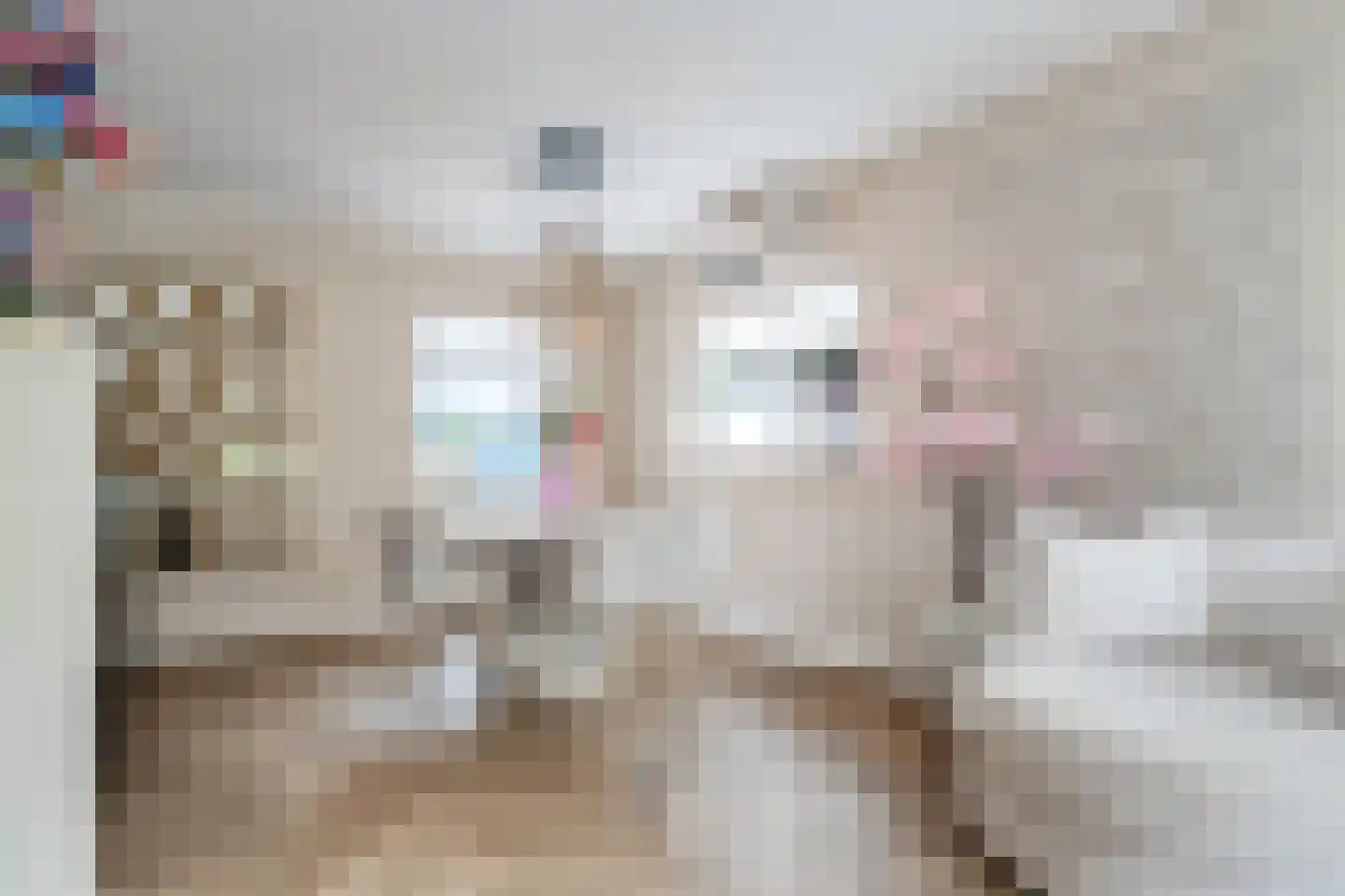 Mastenmakersstraat 25 Zwartsluis thumbnail 14