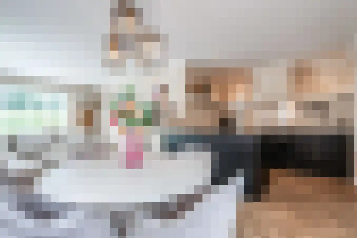 Mastenmakersstraat 25 Zwartsluis thumbnail 16