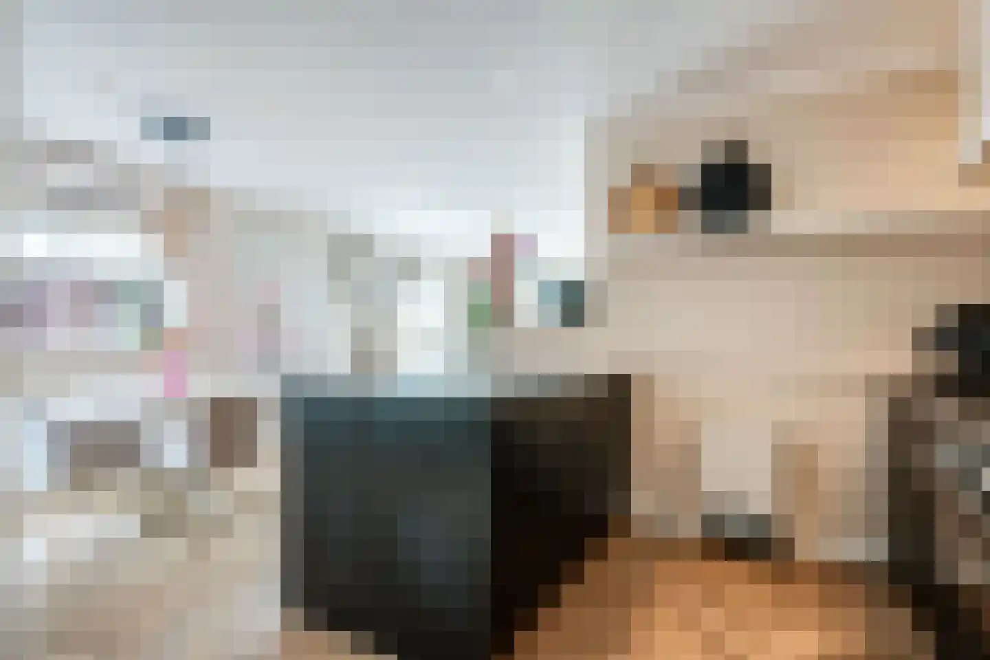 Mastenmakersstraat 25 Zwartsluis thumbnail 19