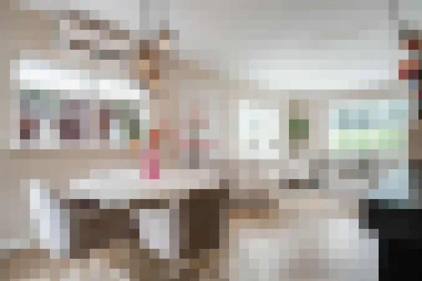 Mastenmakersstraat 25 Zwartsluis thumbnail 20