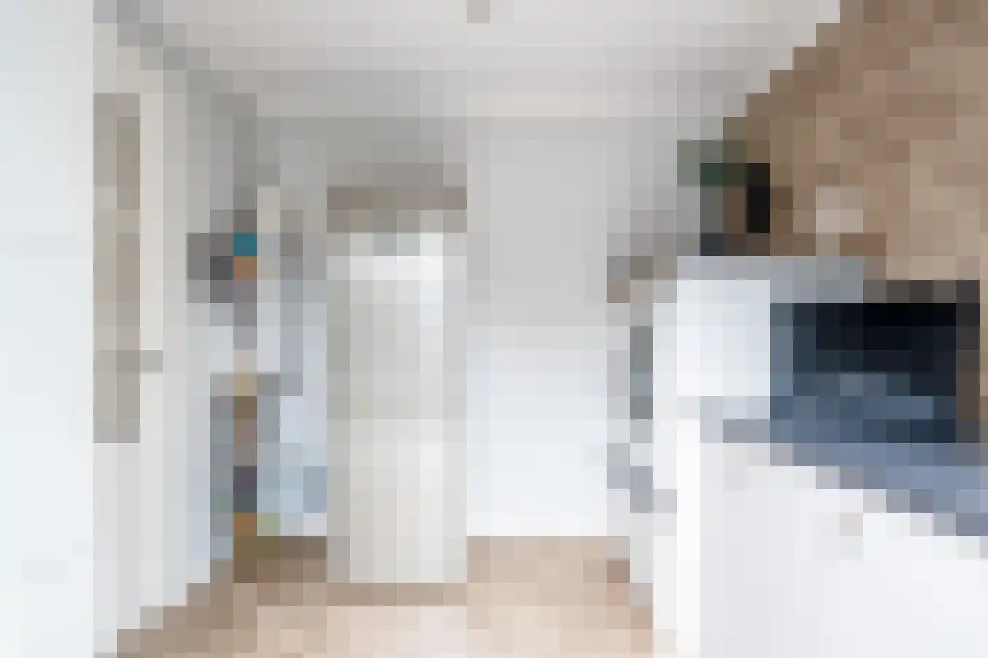 Mastenmakersstraat 25 Zwartsluis thumbnail 21