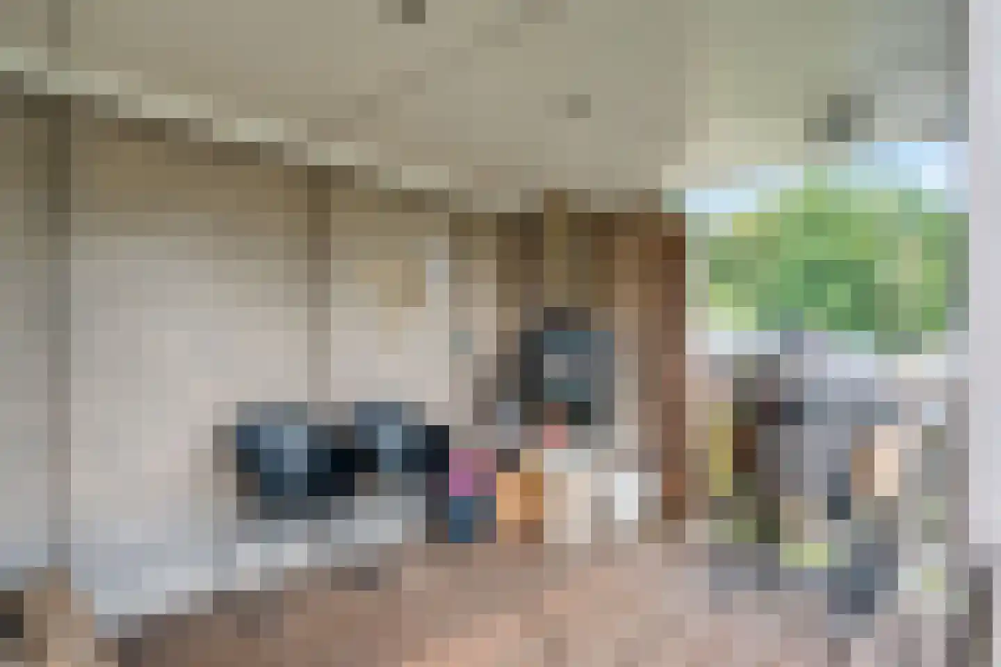 Mastenmakersstraat 25 Zwartsluis thumbnail 28