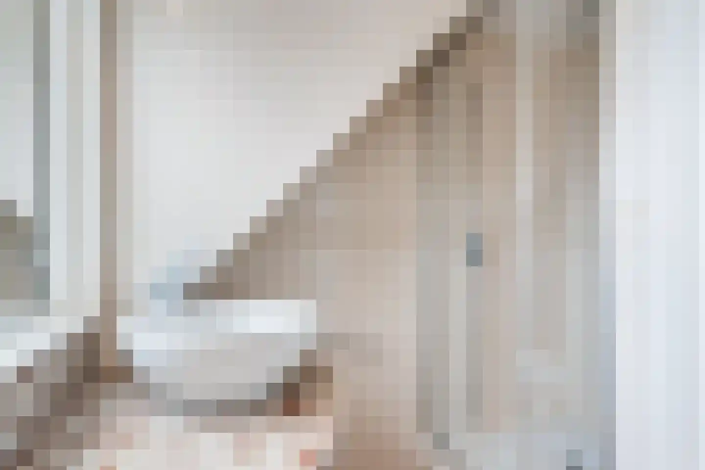 Mastenmakersstraat 25 Zwartsluis thumbnail 38