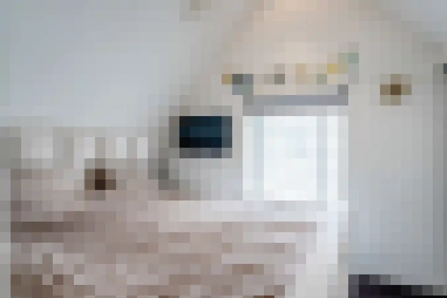 Mastenmakersstraat 25 Zwartsluis thumbnail 39